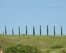 Buonconvento  2015 060